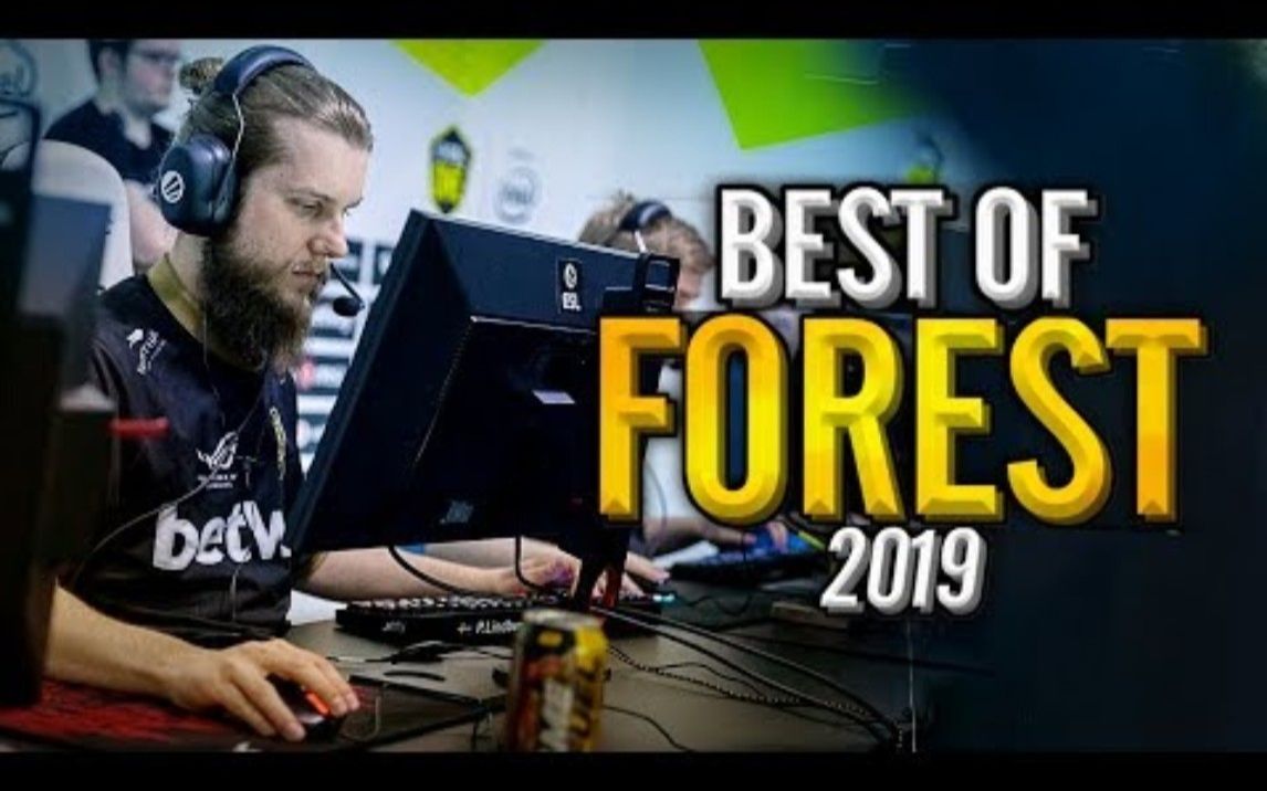 最好的森林哥! (2019 高光时刻) - cs_go