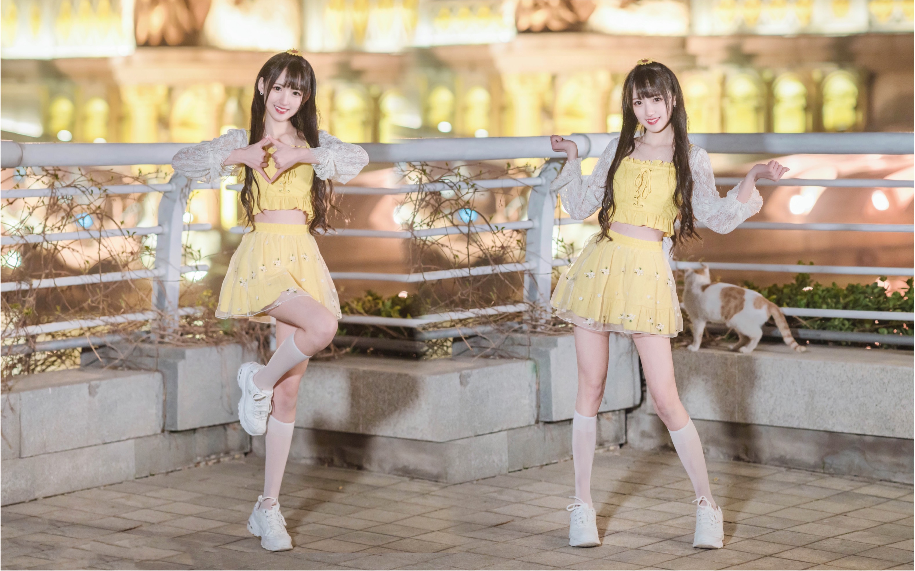 兔总裁想住进你的心里呀青你2主题曲yesok一起绽放