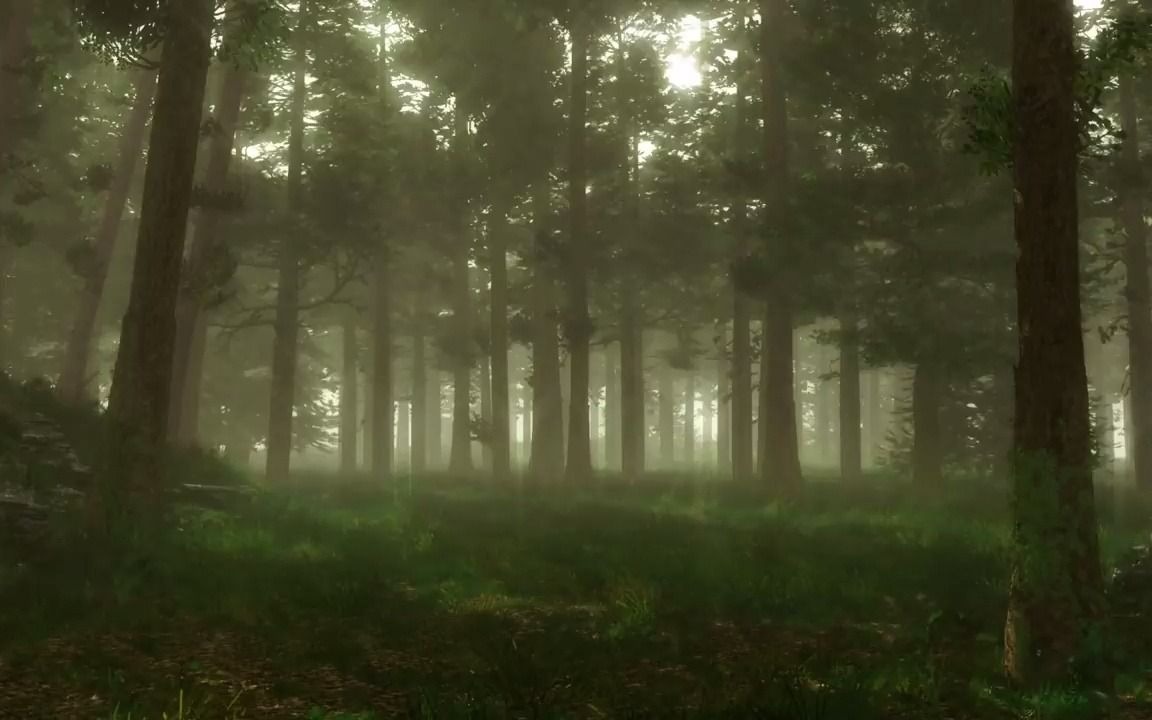 [图]【自然音・森林之声・放松心情】Forest Sounds _ Woodland Ambience, Bird Song, Nearby Villag