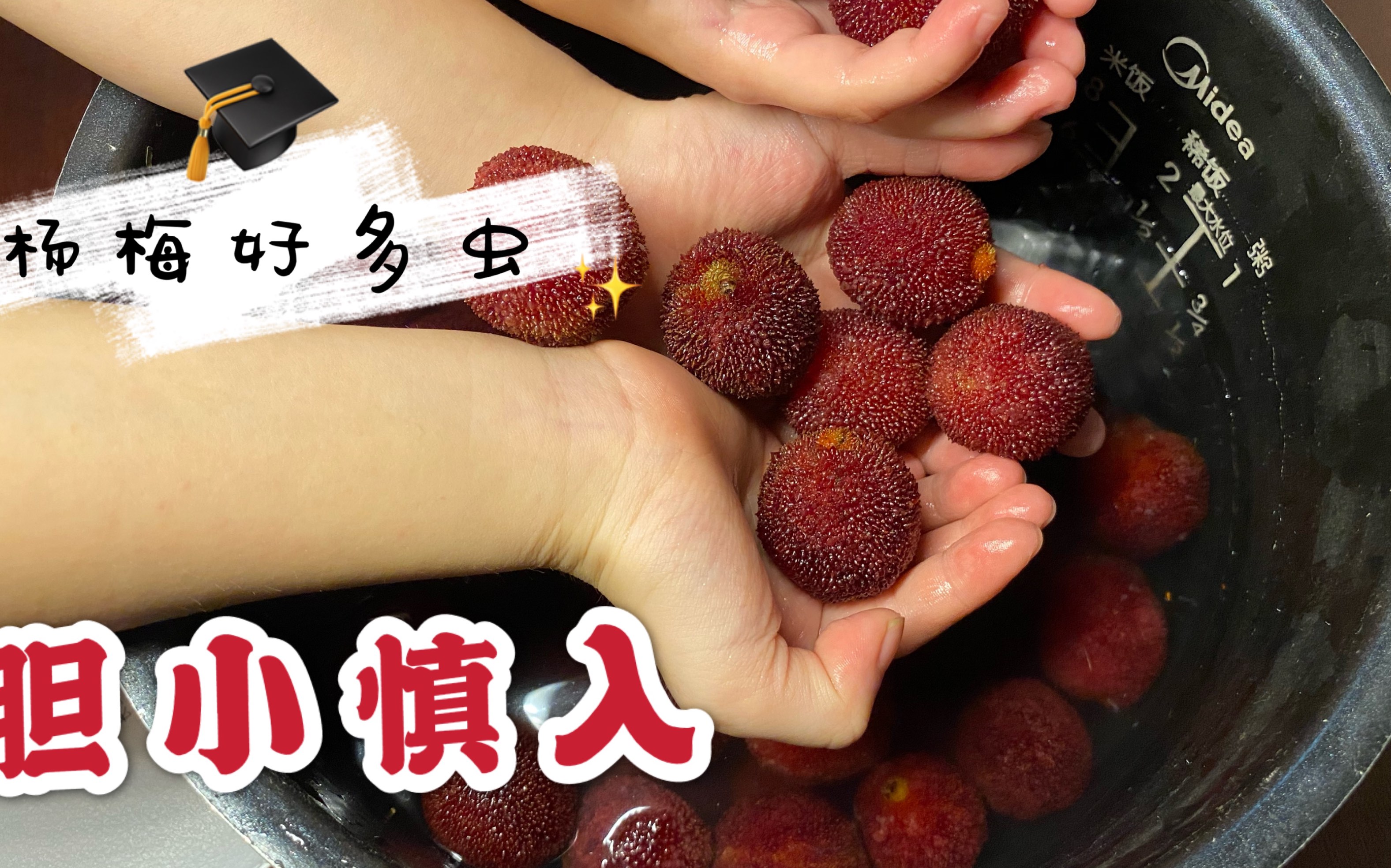 杨梅好多虫,就像他的毛毛一样多,太恐怖啦