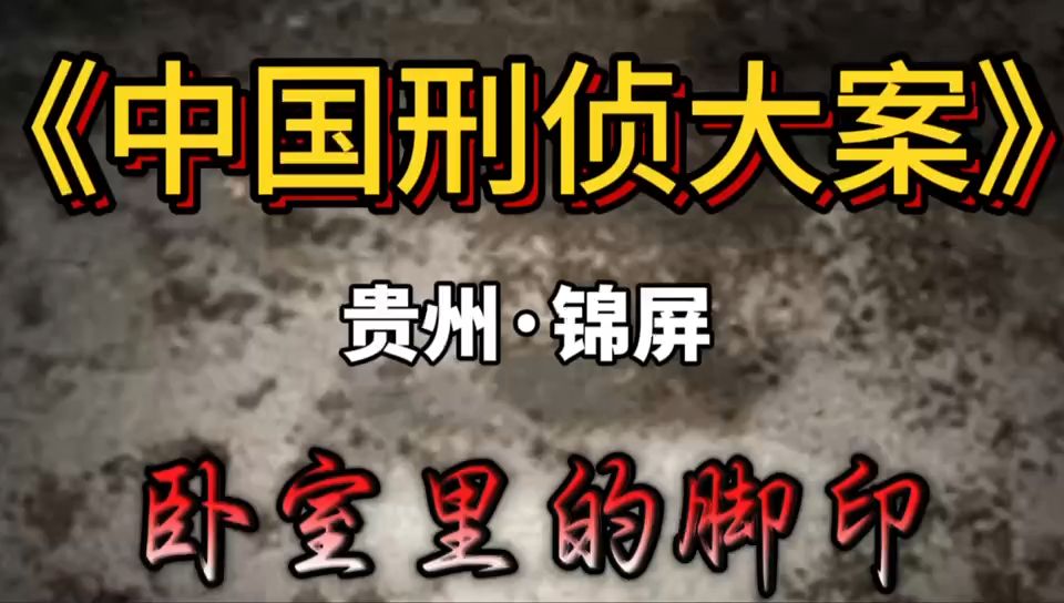 第九十五集 贵州省锦屏市境内发生一起恶性凶杀案哔哩哔哩bilibili