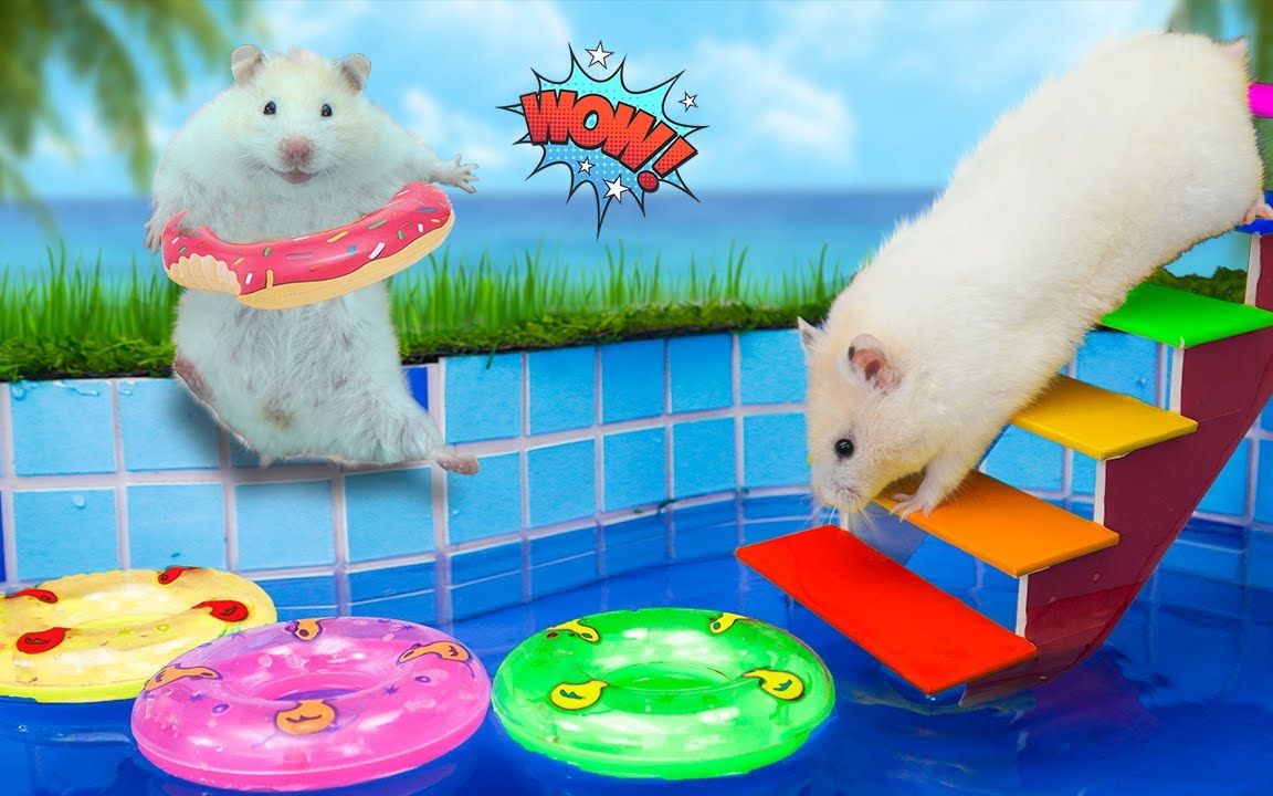 仓鼠历险记:今天可要给小仓鼠放个假,安排他去仓鼠乐园里玩一玩