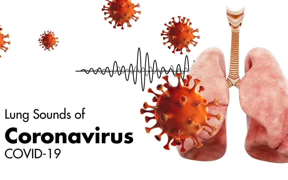冠状病毒(新冠肺炎)的声音肺部声音哔哩哔哩bilibili