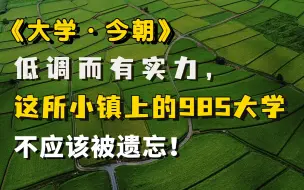 下载视频: 这所西部高校，扎根小镇，却大有可为！