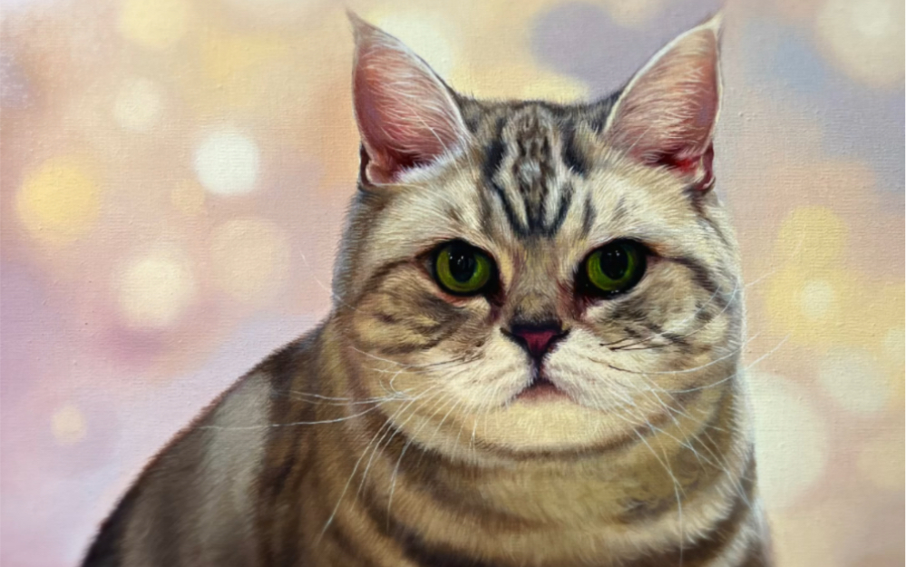 美短喵星人的油画