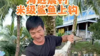 海边晨钓，第一杆就中米级鲨鱼！