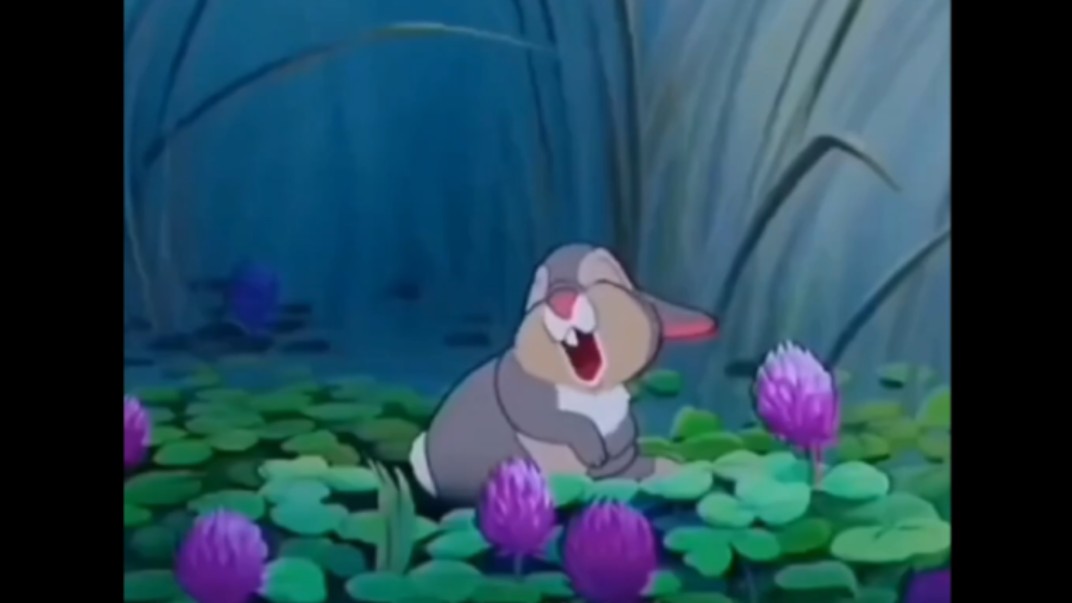 【中配】最最可爱的小兔子!桑普