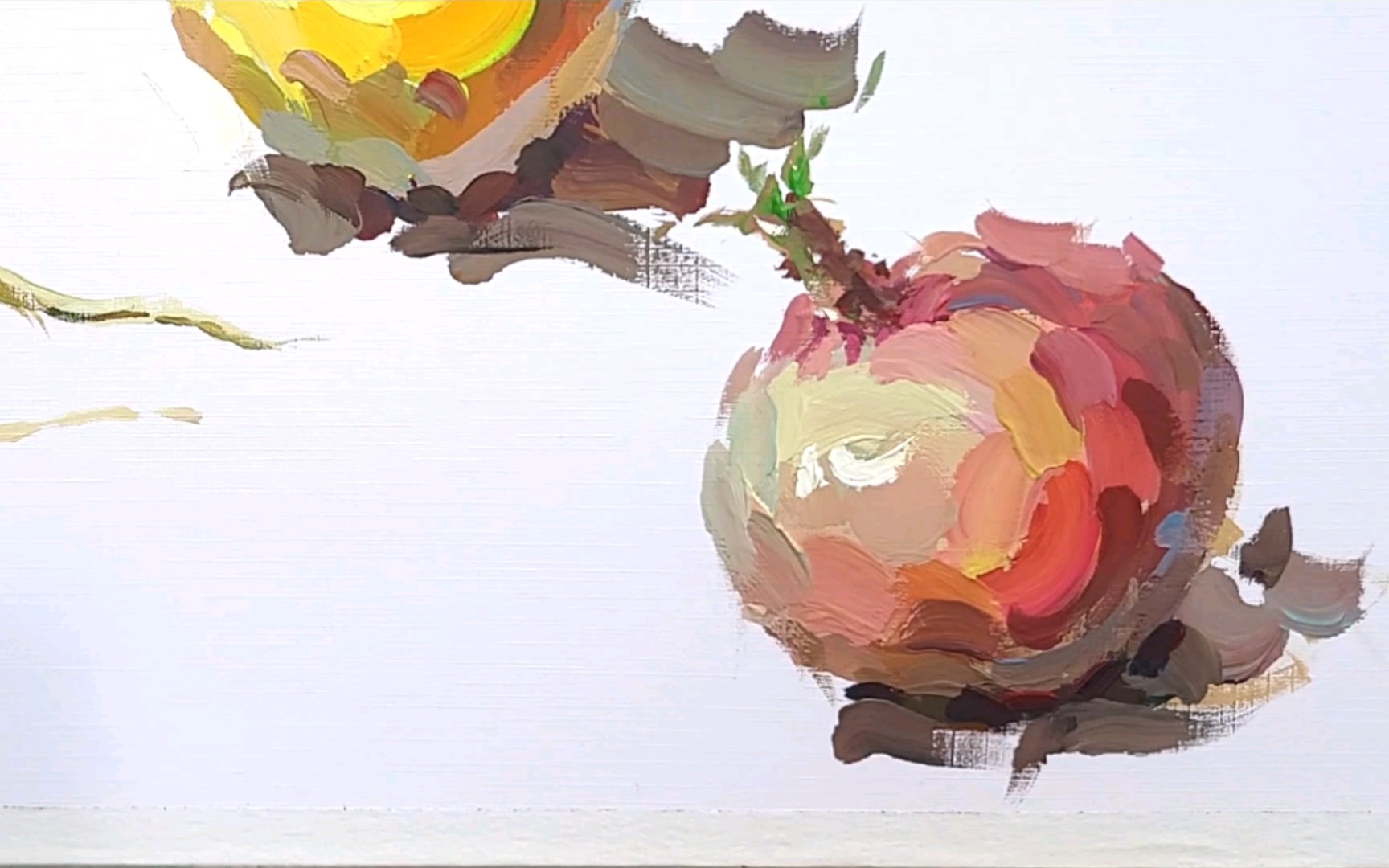 水粉色彩洋葱 快放版_哔哩哔哩_bilibili