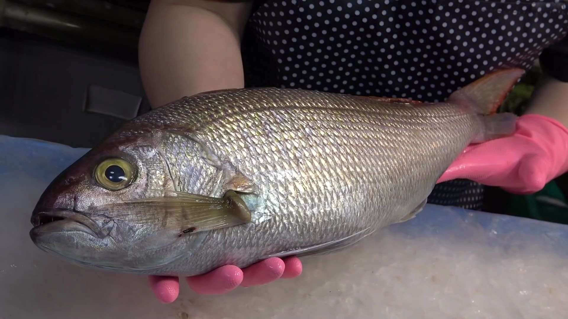 希氏姬鲷生鱼片-台湾街边小吃_哔哩哔哩 (゜-゜)つロ 干杯~-bilibili