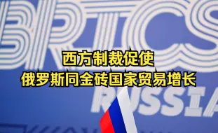 Download Video: 西方制裁促使俄罗斯同金砖国家贸易增长