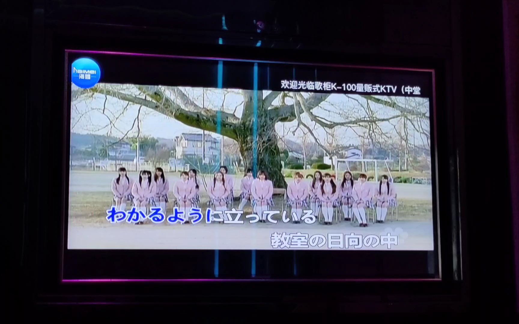 [图]【在KTV唱AKB】桜の木になろう (变成樱花树吧)