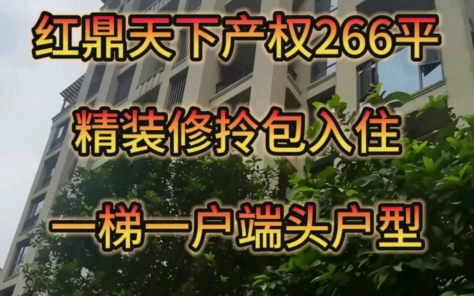 [图]中庚红鼎天下产权266平一梯一户精装修拎包入住