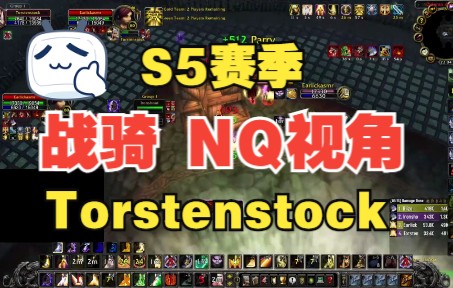 【奶骑】Torstenstock 战骑 奶骑视角~11.9日直播哔哩哔哩bilibili魔兽世界