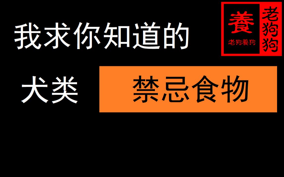 老狗教你如何科学养狗 3——狗不能吃的九大禁忌食物哔哩哔哩bilibili