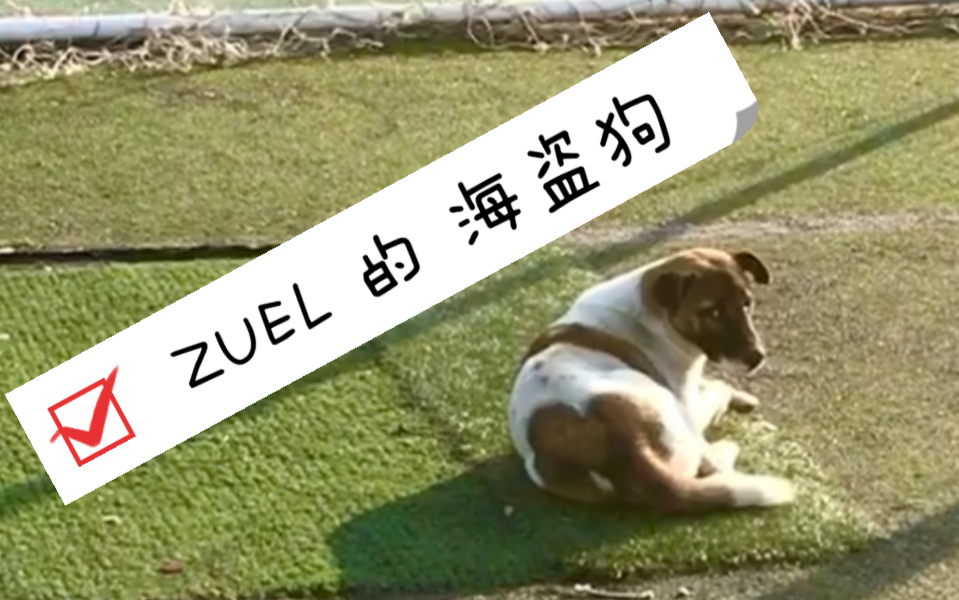 ZUEL | 海盗狗哔哩哔哩bilibili