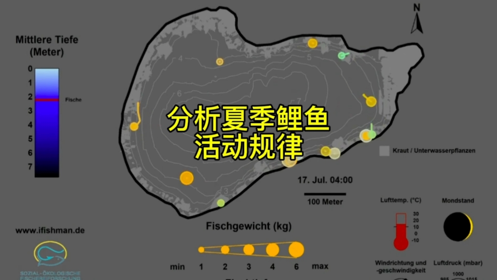 利用德国ifishman研究小组对鲤鱼的跟踪数据分析夏季鲤鱼生活水层、位置及活动规律.如有翻译错误之处还请钓友指出.#分享钓鱼知识 #钓鱼 #钓鱼知识...