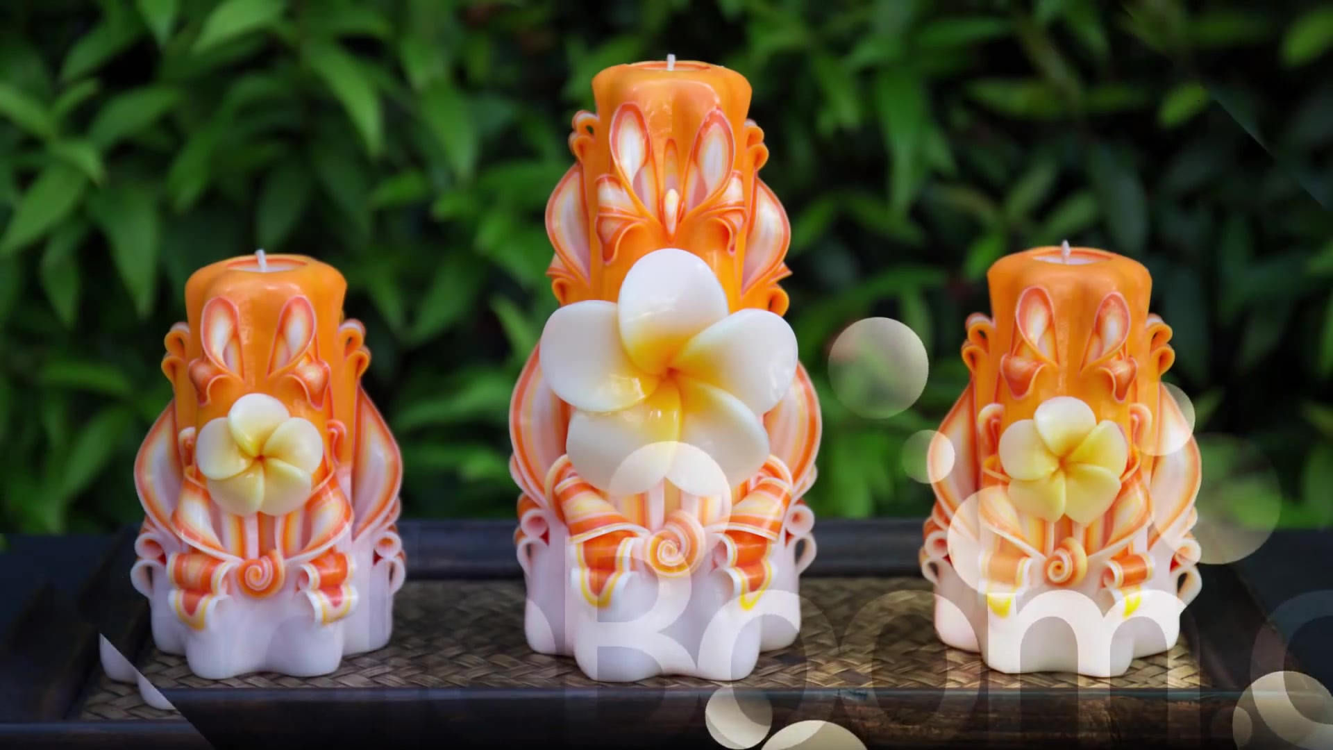 雕刻蜡烛carvedcandlescollectionplumeriasize111721cm