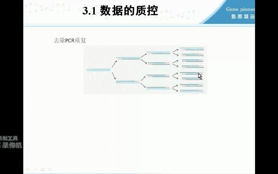 【基因组】JSHY二代+三代基因组denovo组装哔哩哔哩bilibili