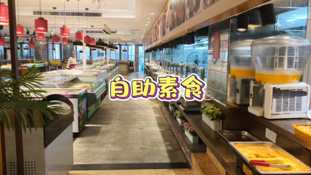 汕头几百种菜品自助素食,16元吃到饱,新梅园圆通素食哔哩哔哩bilibili