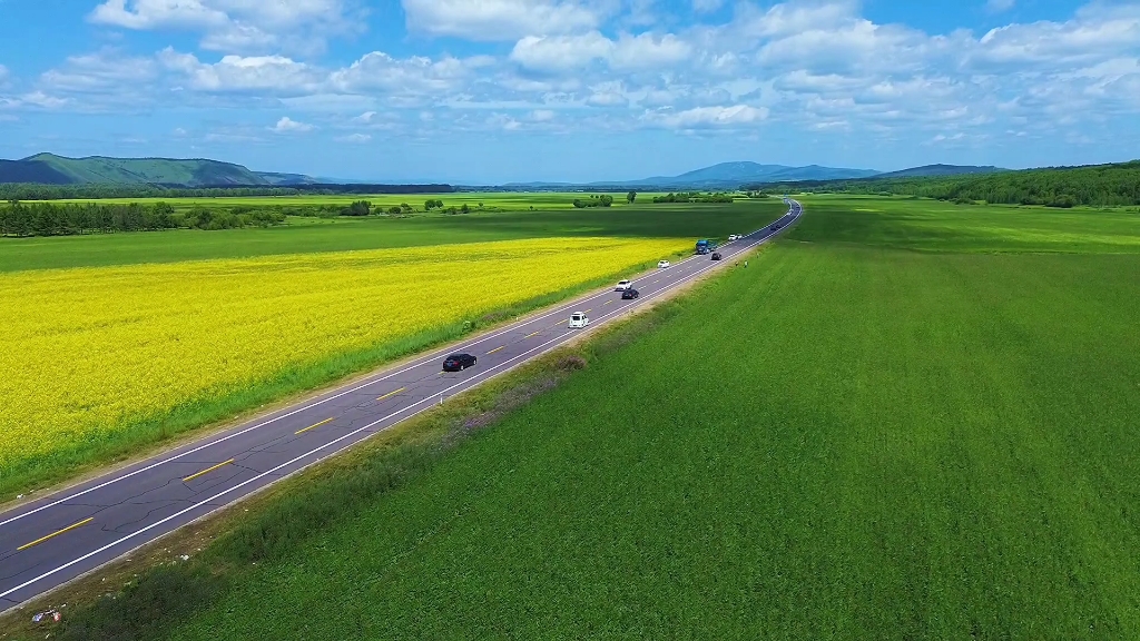 草原上的风和自由