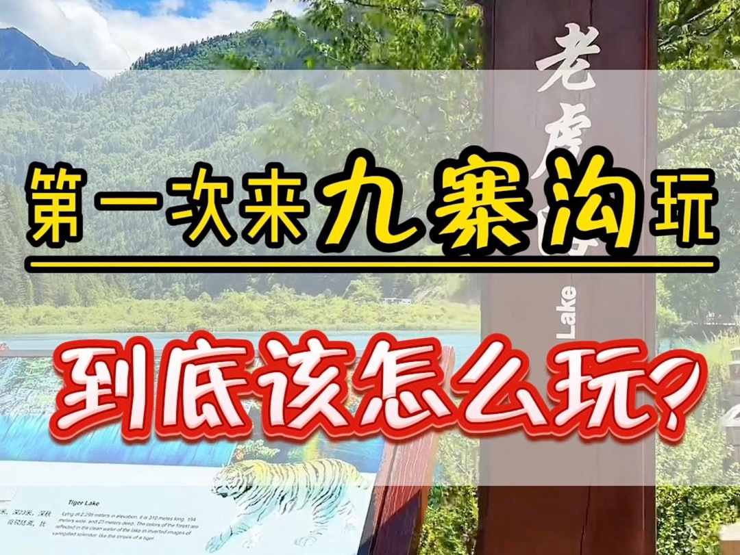 第一次来四川九寨沟怎么玩一个视频讲明白?#四川旅游 #九寨之恋 #九寨沟旅游攻略哔哩哔哩bilibili