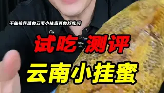 全网知道这种小挂蜜的真不超过3个吗？他一天能吃几百个我不信！