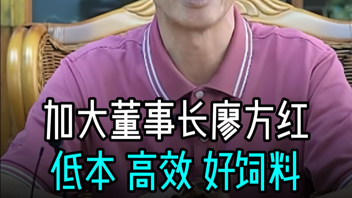 饲料业高端访谈①加大集团董事长廖方红 低成本、高效益、好饲料哔哩哔哩bilibili