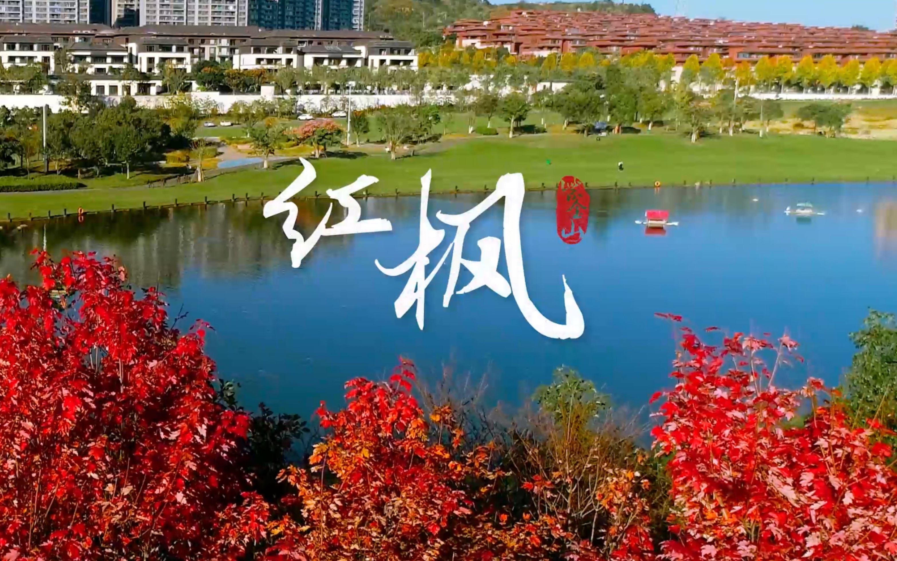 福建龙岩,紫金湖红枫美景.