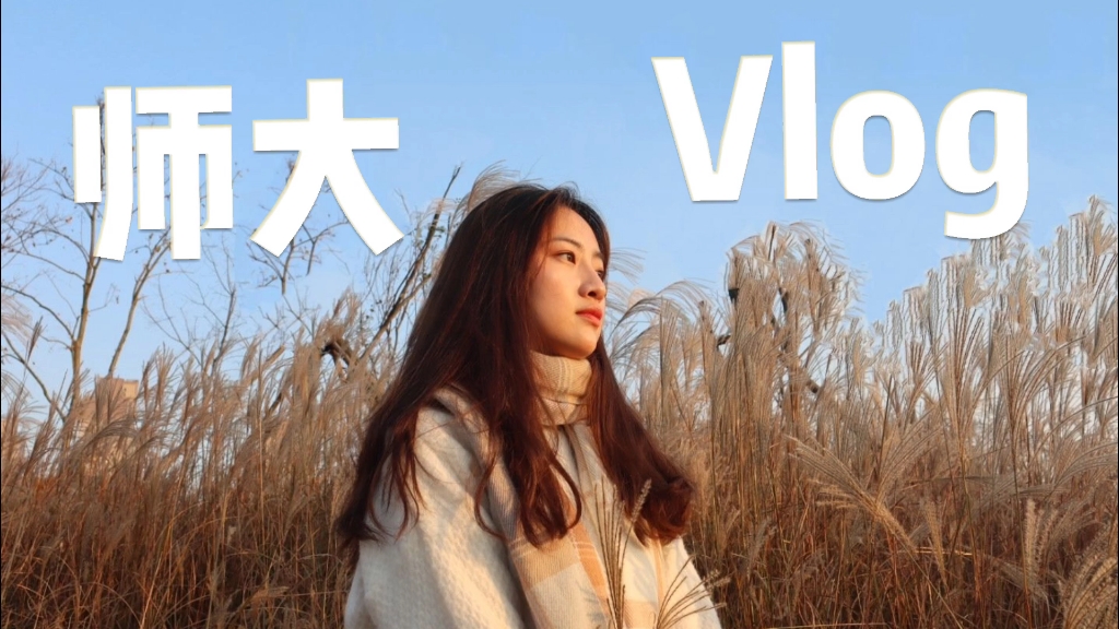 Vlog师大日常 | 南昌盒马 | 下榻艺术节 | 鱼尾洲哔哩哔哩bilibili