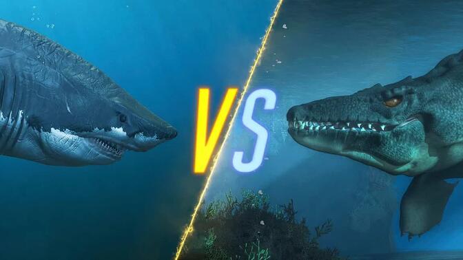 沧龙vs巨齿鲨?谁才是海洋一哥?