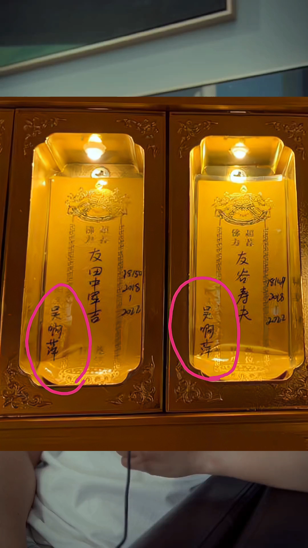 哔站请求你给点流量呗!