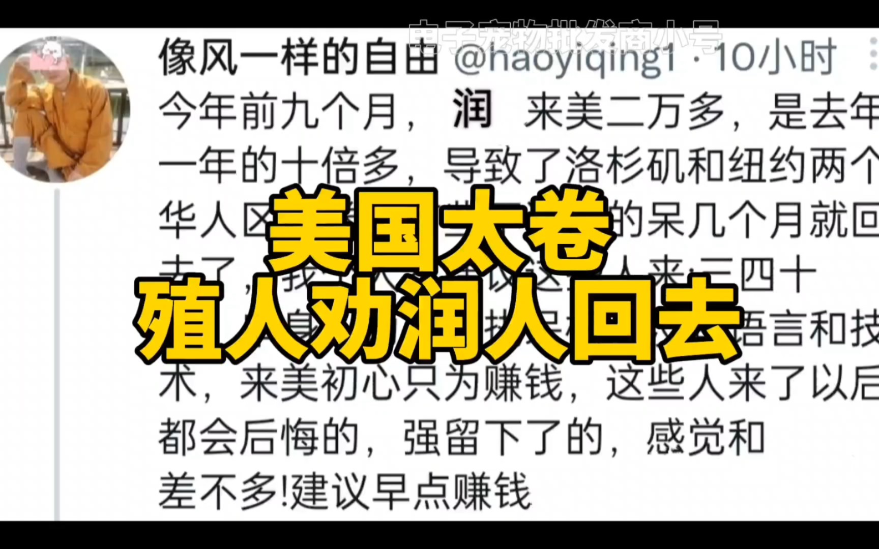 润来美国的电子宠物太多了,挤压了殖人的生存空间,殖人开始劝人回去.哔哩哔哩bilibili