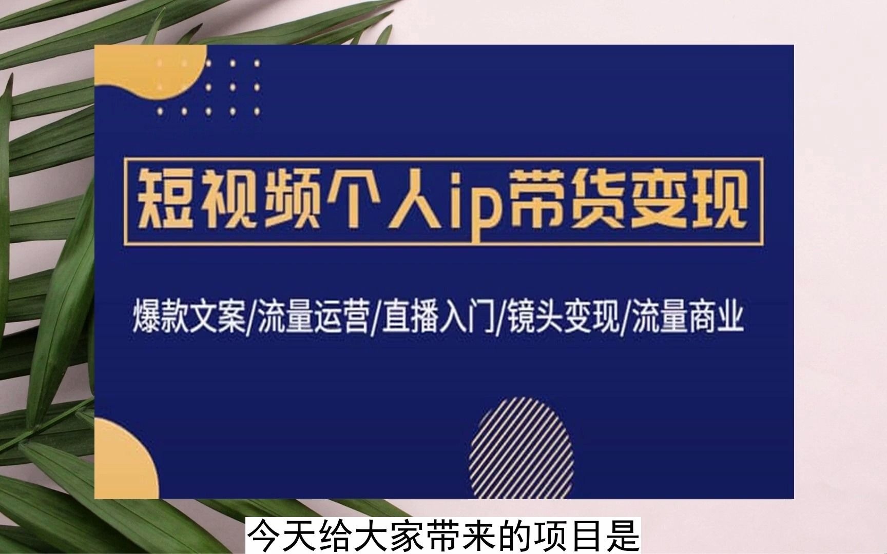 2023-短視頻個人ip帶貨變現:爆款文案流量運營直播