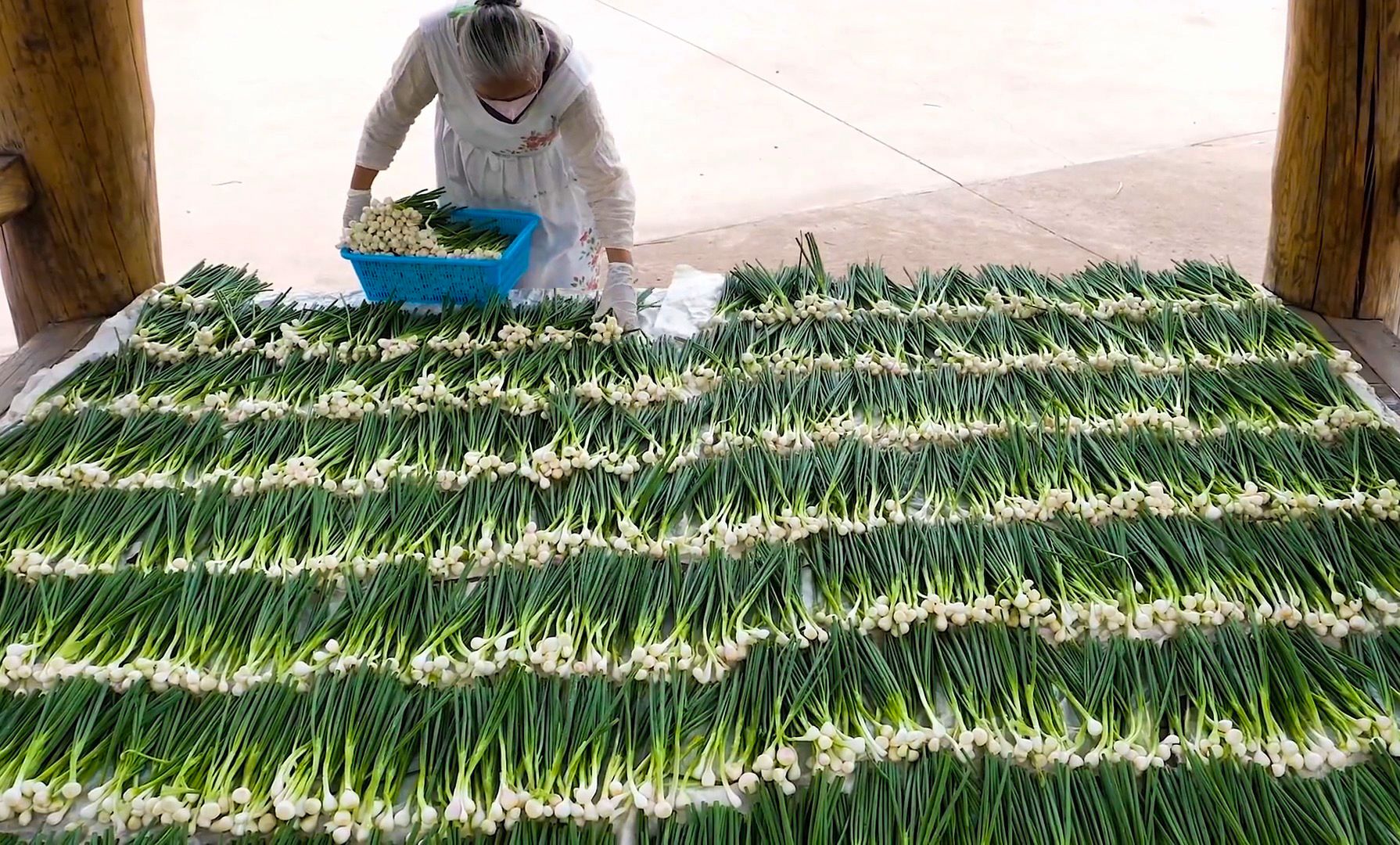 70岁奶奶每天用掉1000斤葱!这份海鲜葱饼,是无数人心中的天花板哔哩哔哩bilibili