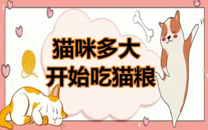 Download Video: 小猫多大开始吃猫粮？怎么给小奶猫喂食？