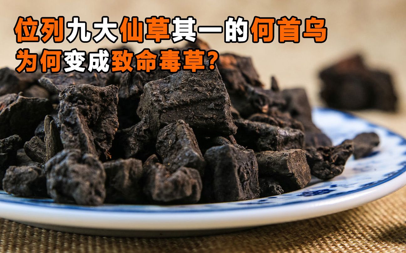 [图]位列九大仙草其一，白发救星何首乌，为何变成致命毒草？