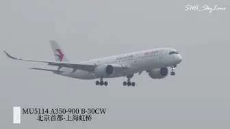 Download Video: 东航A350墨镜侠小侧风落地上海虹桥