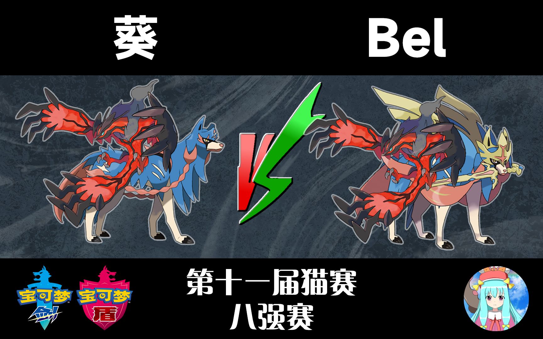 「第十一届猫赛」八强赛 葵 VS Bel哔哩哔哩bilibili