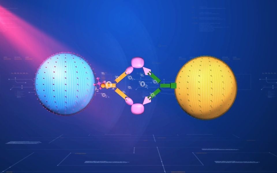 光激化学发光分析