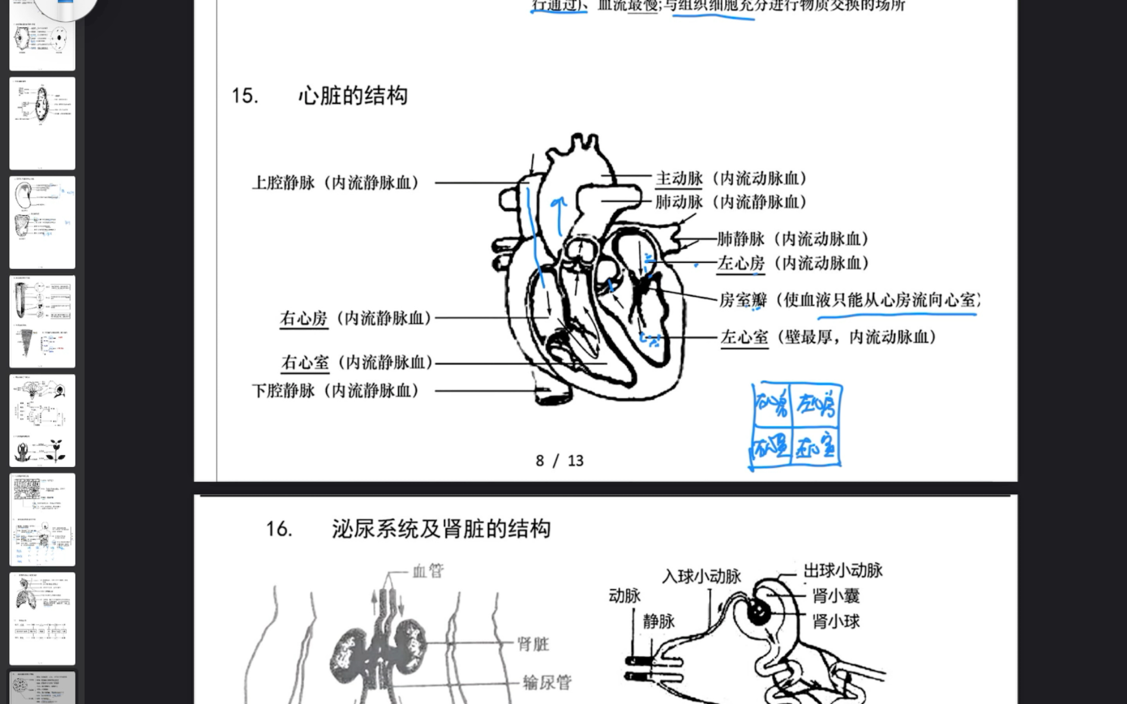 中考生物最后冲刺,初中常见图,记住又多考了十分,耶耶耶哔哩哔哩bilibili