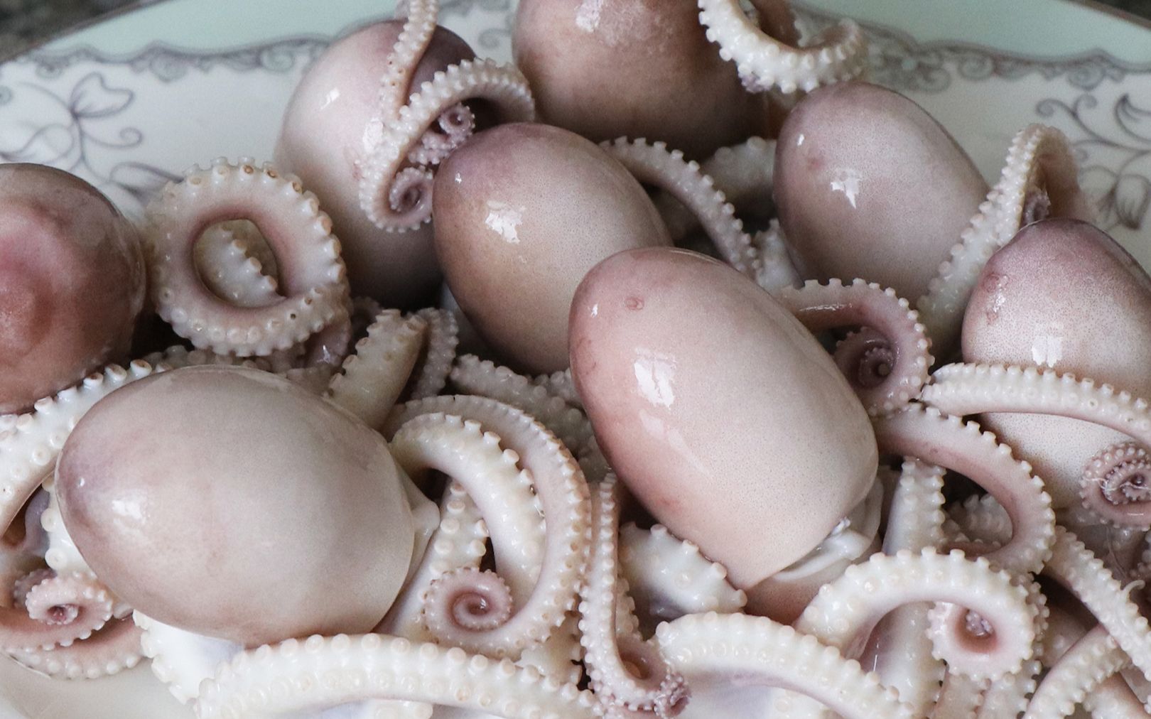 生鲜八爪鱼这样做,鲜嫩爽口,连墨汁一起吃,太解馋了