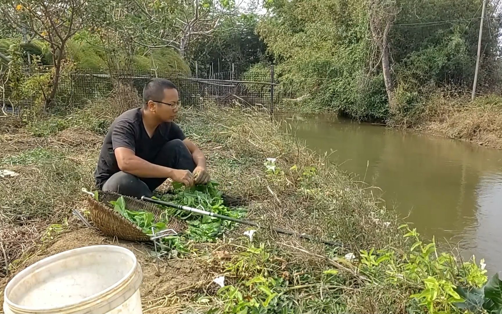 [图]秋风瑟瑟催叶落，池水潺潺润篱园！