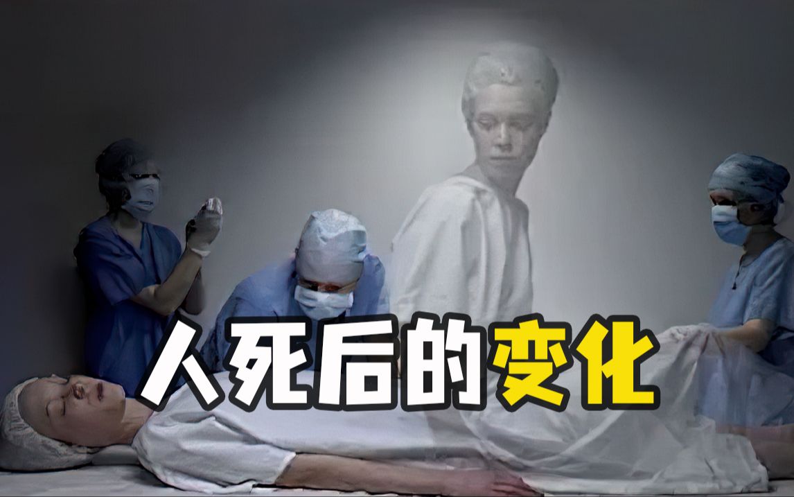 人类死了是什么感觉