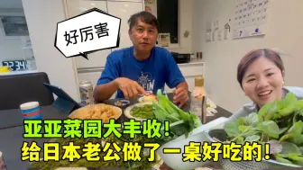 Tải video: 亚亚的菜园大丰收下厨做了顿大餐，日本老公夸不停：太美味咯！