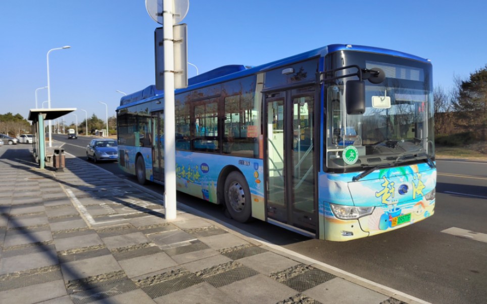 西海岸真情巴士50路 西海岸汽车东站到码头休闲村