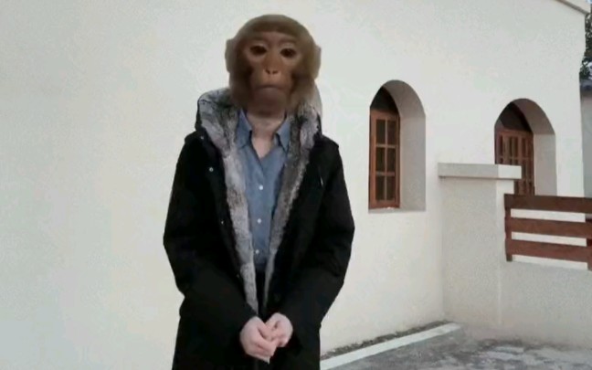 【张嘉元】当吗喽遇上越南神曲