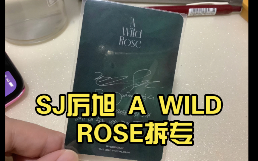 [图]SJ厉旭 A WILD ROSE拆专