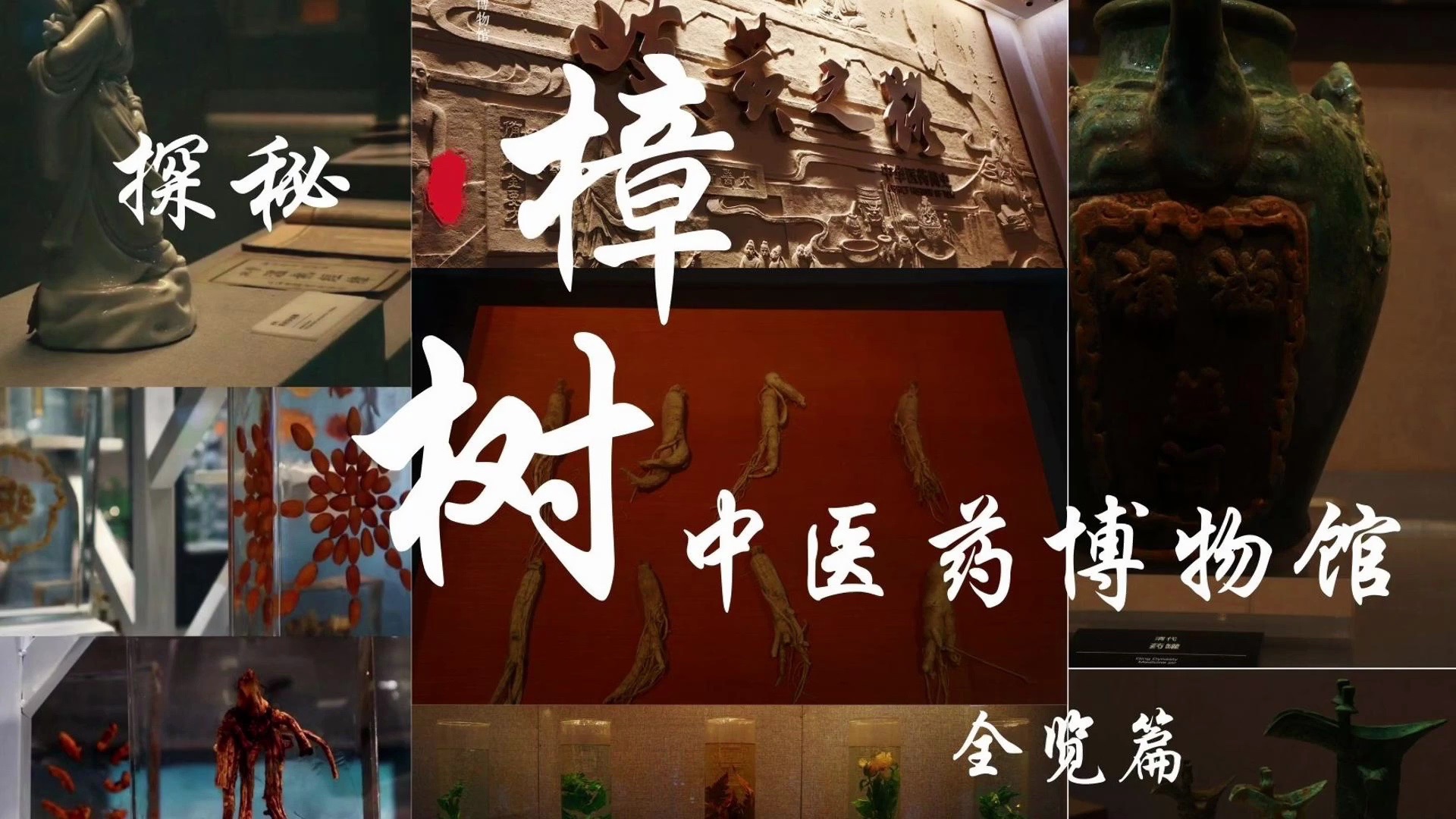 【樟树中医文化调研】探秘樟树中医药博物馆全览篇