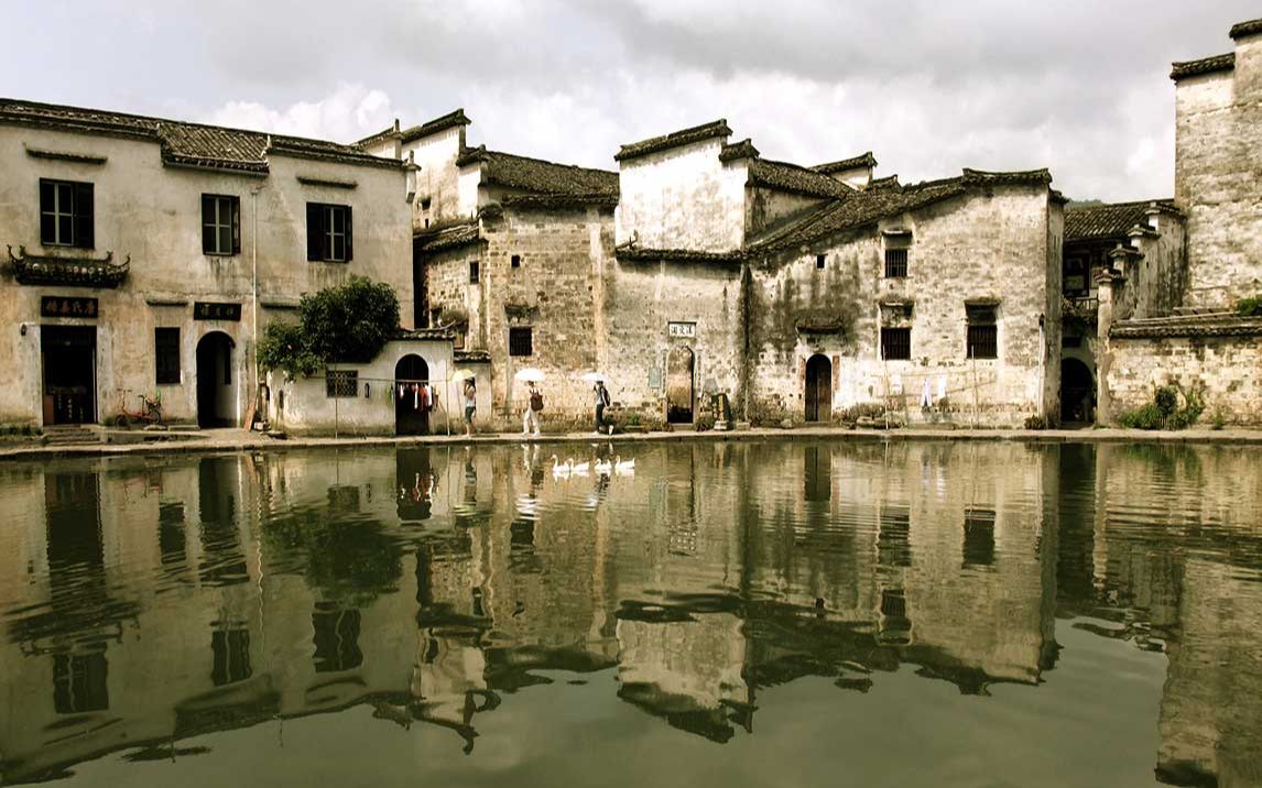 想学种花卉大棚怎么学 花卉的知识在哪学 花卉学包满珠第二版教材pdf