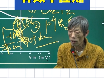 【刘忠保老师医学知识小课堂】——有效不应期哔哩哔哩bilibili